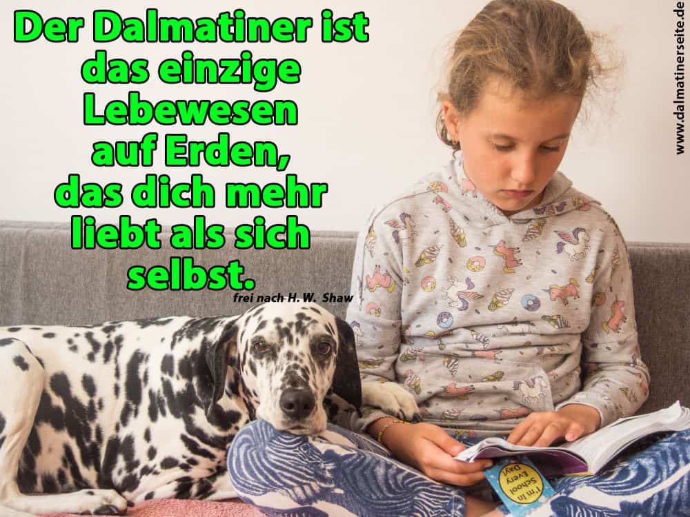 Ein Mädchen liest ein Buch für ihren Dalmatiner