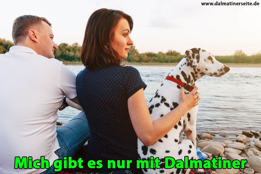 Eine Familie umarmt deinen Dalmatiner