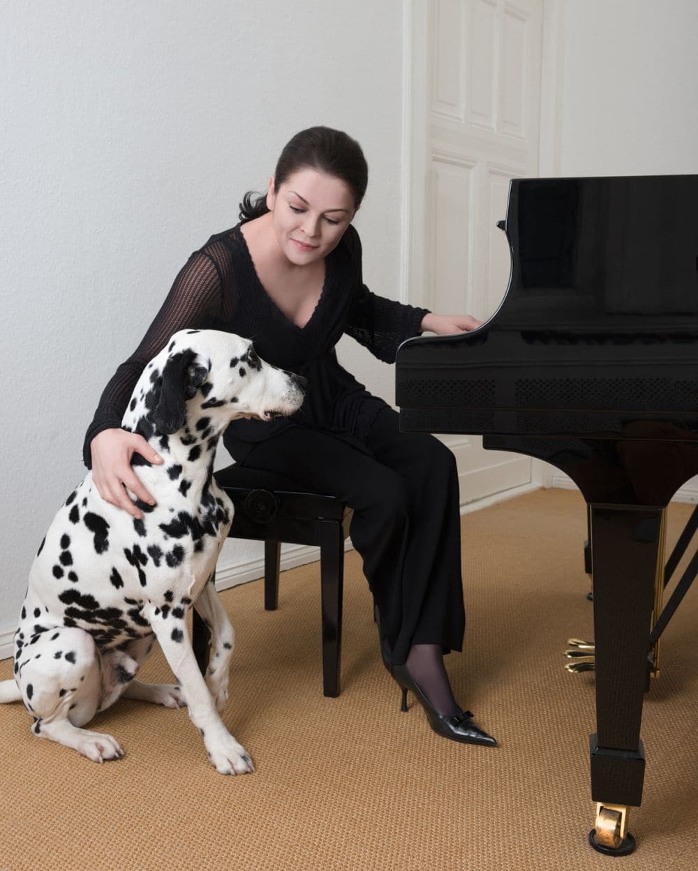 Dalmatiner als Therapiehund