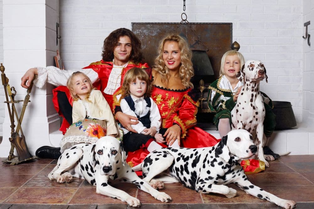 Dalmatiner als Familienhund?